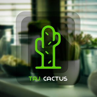 Логотип канала taj_cactus