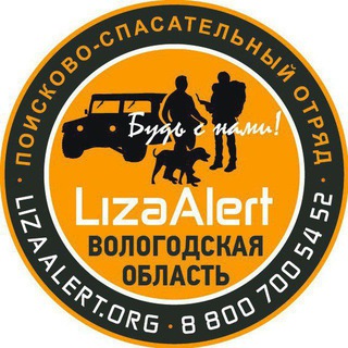 Логотип канала lizaalert35