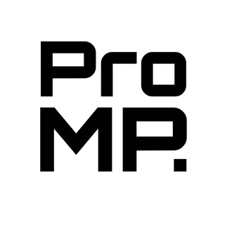 Логотип promp_opt