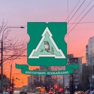 Логотип канала myrayonvosizm