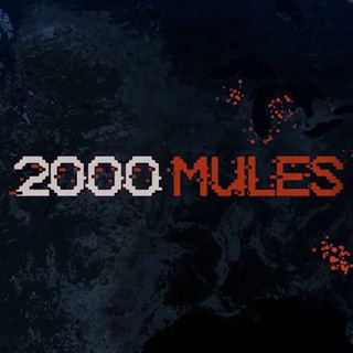 Логотип канала mules2000_q