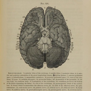 Логотип medical_syndrome