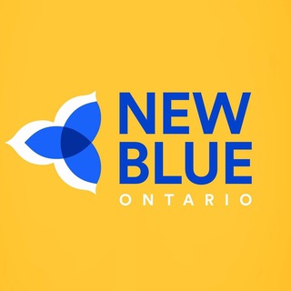 Логотип канала newblueon