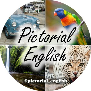 Логотип канала pictorial_english