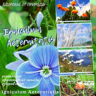 Логотип igniculum_aeternitatis