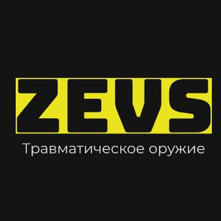 Логотип zevs_travmat