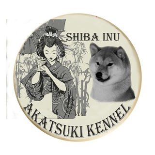 Логотип канала shibainuakatsuki