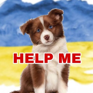 Логотип канала pets_share_bc