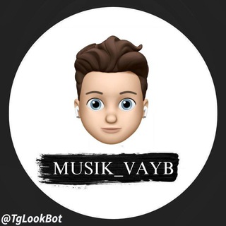 Логотип канала musik_vayb