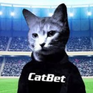 Логотип cat_bet_team