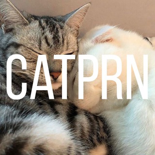 Логотип catp0rn