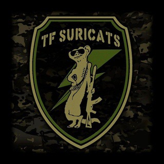 Логотип tfsuricats