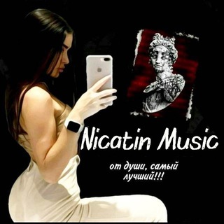 Логотип nicatinmuzik