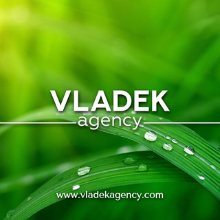 Логотип канала Vladekagency