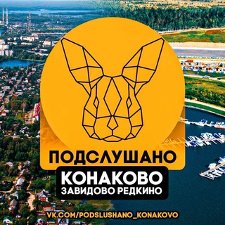 Логотип канала podslushano_konakovo