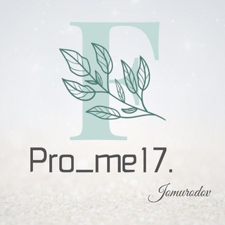 Логотип канала pro_me17