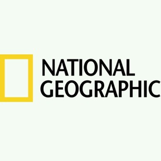 Логотип канала national_geographic