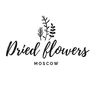 Логотип driedflowers_moscow