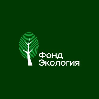 Логотип канала ecologyfund