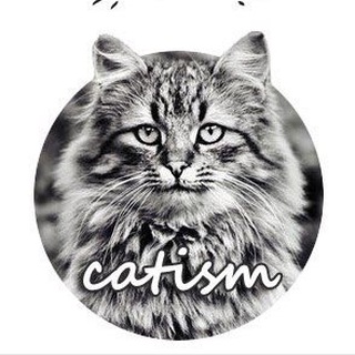 Логотип канала catism