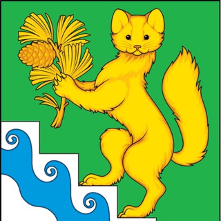 Логотип канала boguchansky_raion