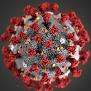 Логотип канала coronavirus_vkurse