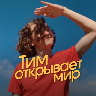 Логотип timopensworld