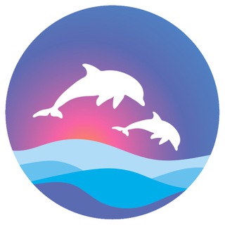 Логотип канала dolphinariumsochi