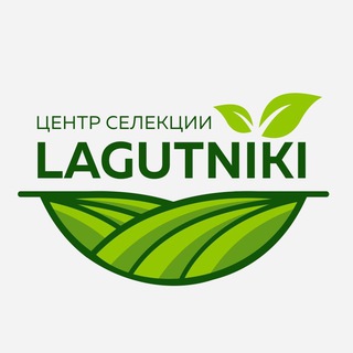 Логотип канала agrolagutniki