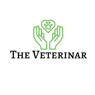 Логотип канала TheVeterinar