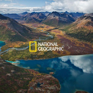 Логотип канала geographic_nationals