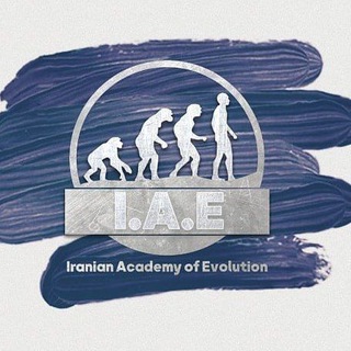 Логотип ir_academy_evolution