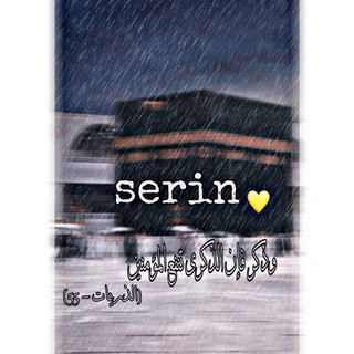 Логотип serin345