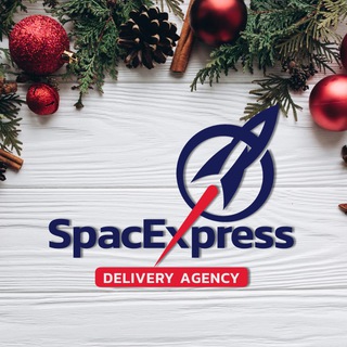 Логотип канала spaceexpress