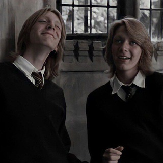 Логотип канала the_best_brothers_weasley