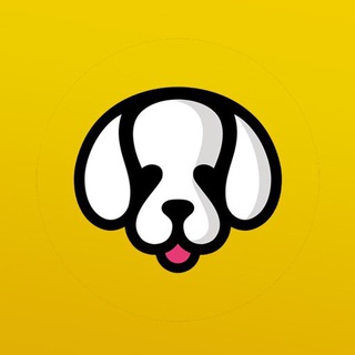 Логотип канала puppyvpn