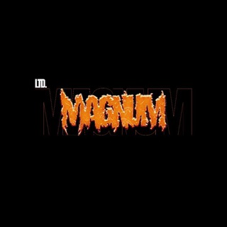 Логотип канала magnumshop0