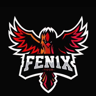 Логотип канала fenix_tour_kz