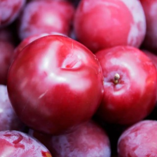 Логотип канала freshplums_777