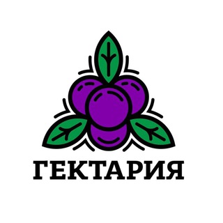 Логотип канала gektaria