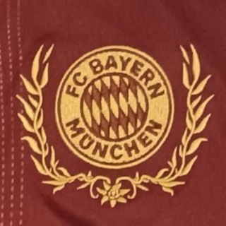 Логотип bayerngp