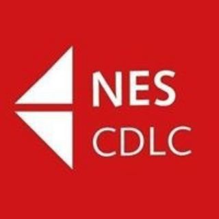 Логотип канала nes_cdlc