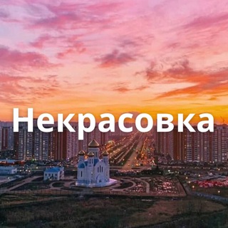 Логотип канала nekrasovkaraion