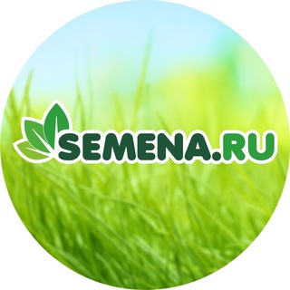 Логотип канала semena_ru