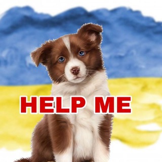 Логотип канала pets_share_kyiv