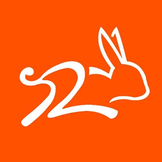 Логотип канала rabbitorg