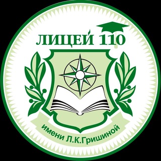 Логотип канала director110