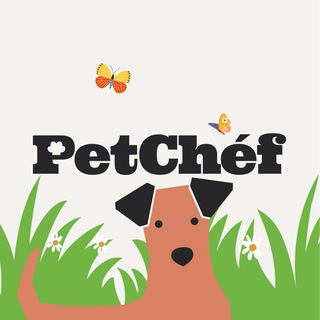 Логотип канала petchef