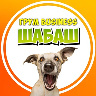 Логотип канала chogroomer_businesschat