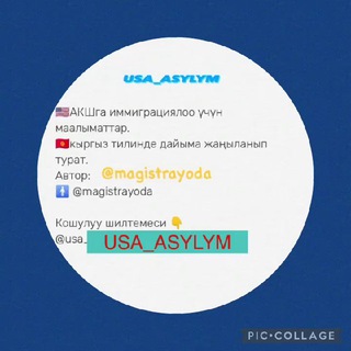 Логотип usa_asylym